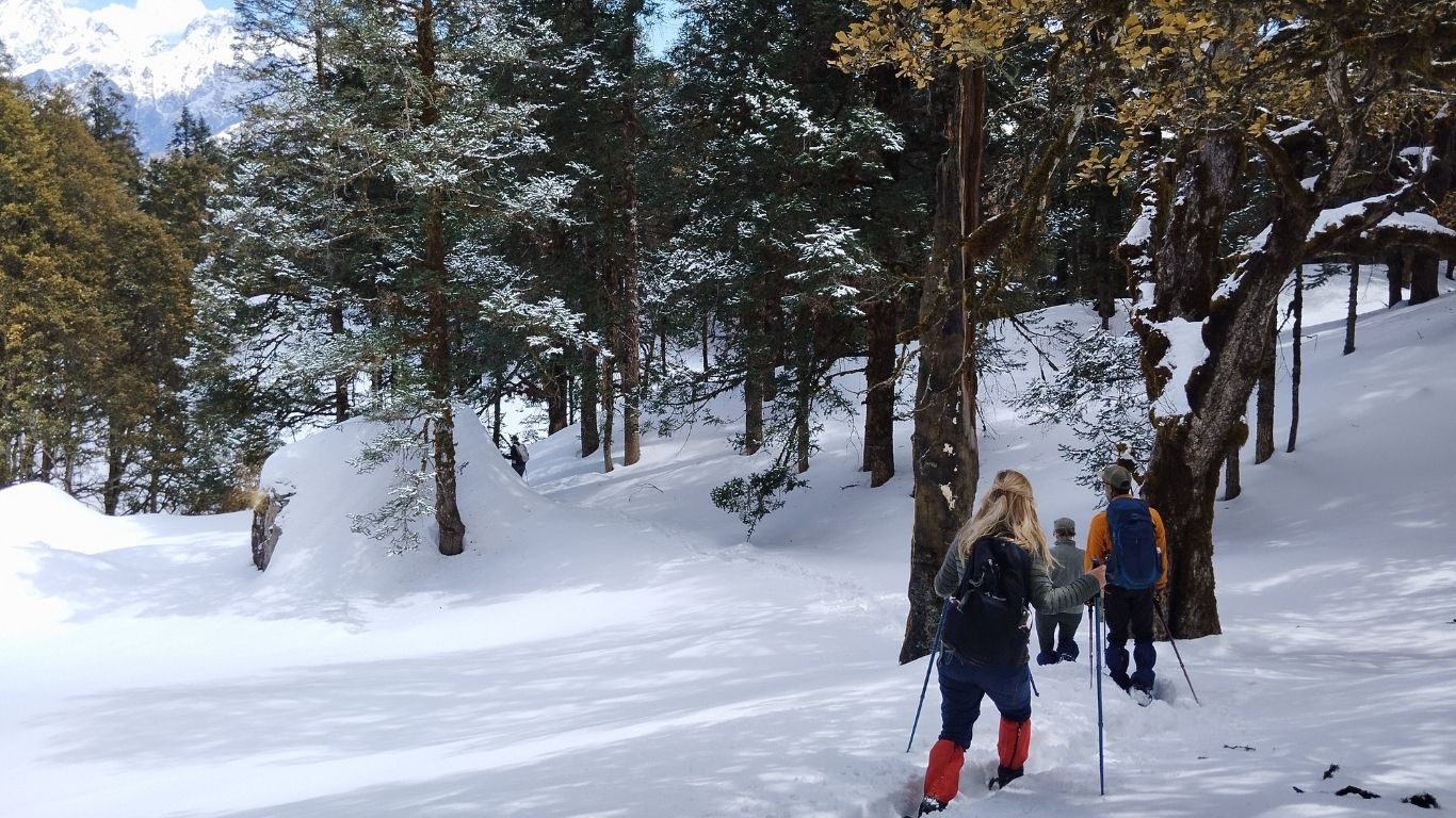 Chasing Stillness in Motion: How the Himalayas Teach Us Balance Through Adventure